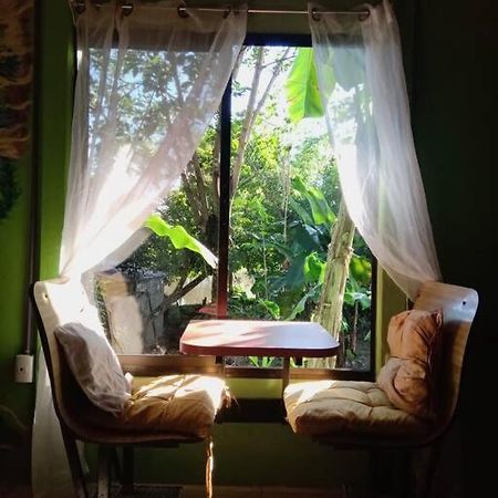 Вілла Casa Flor De Annia ~ Cozy 2 Bdrm On The River Sierpe ~ Walkable To Town Екстер'єр фото
