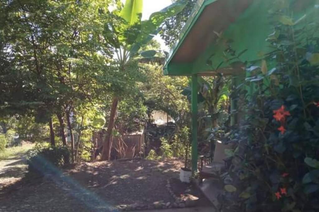 Вілла Casa Flor De Annia ~ Cozy 2 Bdrm On The River Sierpe ~ Walkable To Town Екстер'єр фото