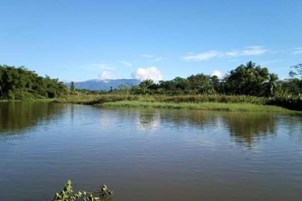 Вілла Casa Flor De Annia ~ Cozy 2 Bdrm On The River Sierpe ~ Walkable To Town Екстер'єр фото