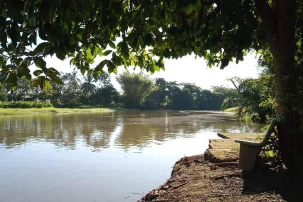 Вілла Casa Flor De Annia ~ Cozy 2 Bdrm On The River Sierpe ~ Walkable To Town Екстер'єр фото