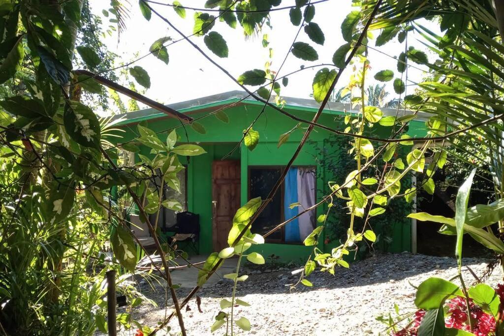 Вілла Casa Flor De Annia ~ Cozy 2 Bdrm On The River Sierpe ~ Walkable To Town Екстер'єр фото