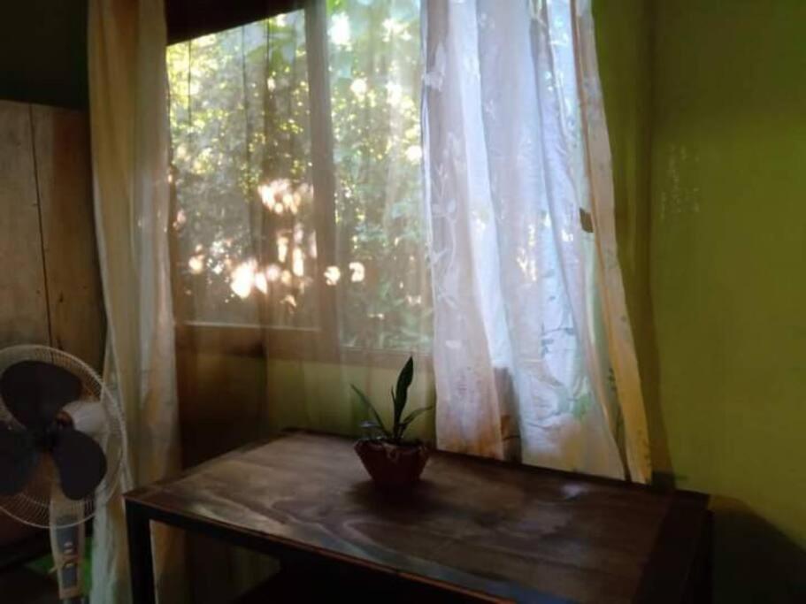 Вілла Casa Flor De Annia ~ Cozy 2 Bdrm On The River Sierpe ~ Walkable To Town Екстер'єр фото